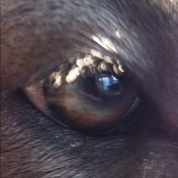 Meet your Posher, Heidi - Picture 1 of 1